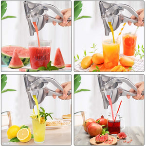 2set/3set/6set Manual Juice Squeezer