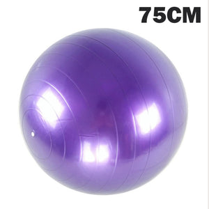 Sport Yoga Balls Gym Fitball Exercise Pilates Workout